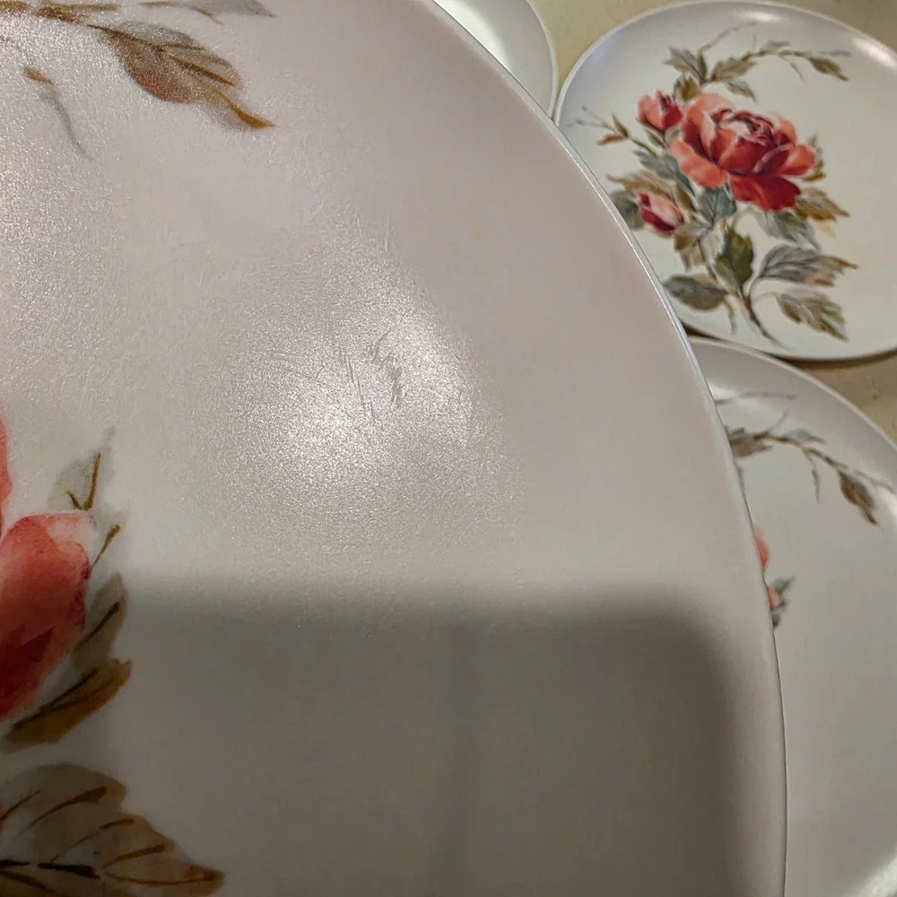 Melamine Dinner Plates 9